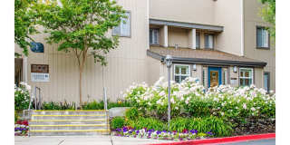 Sofi Dublin Gallery 16