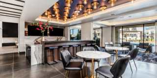 Brightleaf at Lakeline Gallery 24