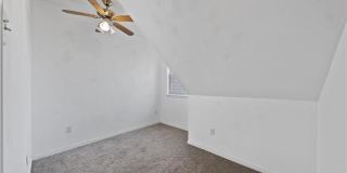 8617 Jonquil Gallery 21
