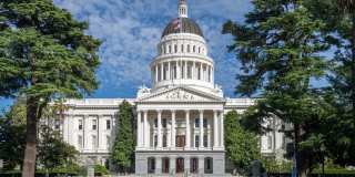 The Strand Gallery 79