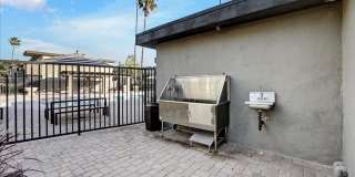 Tierra Palms Gallery 78
