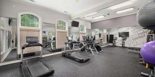 The Harrison Gallery 39