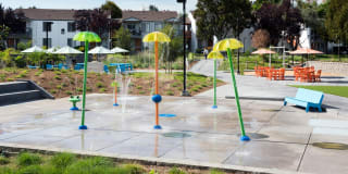 Park Kiely Gallery 1