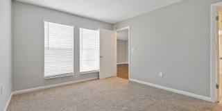 Buena Vista Gallery 14