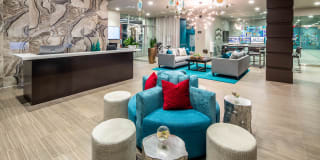 Next on Sixth Gallery 5