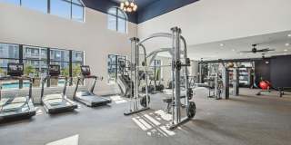 The Lacy at South Main Gallery 18