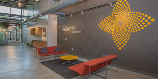 Bloom Gallery 19