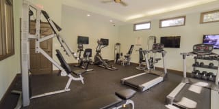 Palms of Clearwater Gallery 21