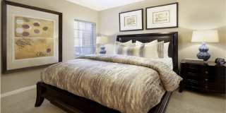 The Dorchester Apartments Gallery 17