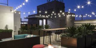 Alexan Webster Gallery 13