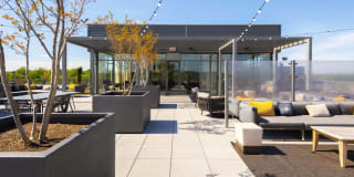 The Lindley Gallery 18