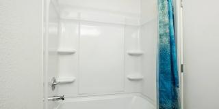 Vivo Living North Woods Gallery 19