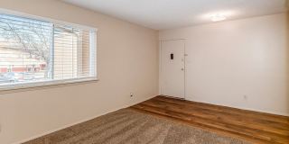 Raintree Apartments Gallery 29