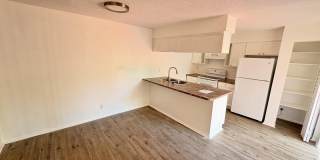8787 Live Oak Court Gallery 6