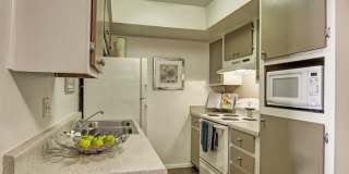 Paradise Falls Gallery 4