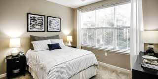 Aventine at Wilderness Hills Gallery 20