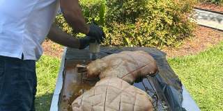 Royal Estates Gallery 20