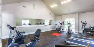 Saddle Creek Gallery 8