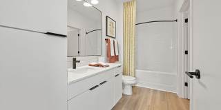 The Scottie Gallery 13