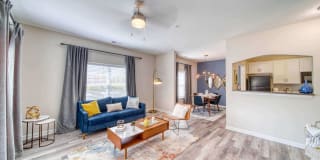 Meridian Obici Gallery 3