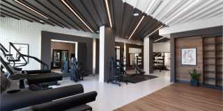 Lume Gallery 19