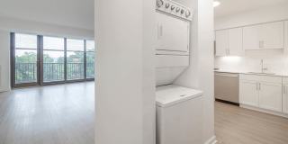 Crystal Place Gallery 50