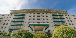 7 Dorchester Drive Gallery 16