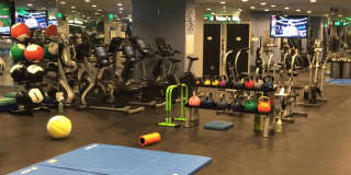 Torrey Gardens Gallery 17