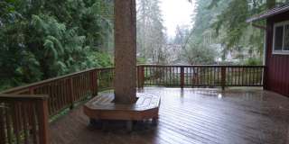 Beautiful 3 Bed 1 Bath Single Family House - Bellevue Gallery 28