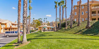 Sofi Canyon Hills Gallery 28