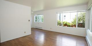 Angeline Gallery 32