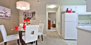 Summer Winds Gallery 22