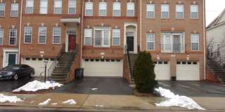 41851 CINNABAR Square Gallery 1