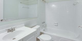 London Towne Gallery 12