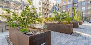 Sevens Luxury Apartment Gallery 192