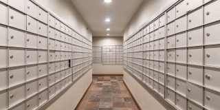 The Falls Gallery 10