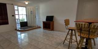 137 White St Gallery 2