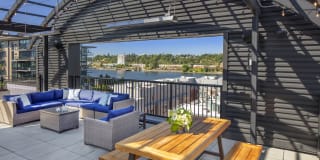 Waterline Waterline Gallery 1