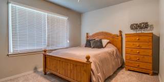 PRE-LEASING for AUGUST Move in - Recently Remodeled 4/2/1 near Texas Tech Gallery 16