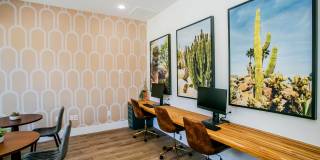 Octave Apartments Gallery 17