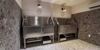 Encore Echo Gallery 6