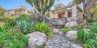 3253 Caminito Eastbluff Gallery 3