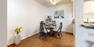 Newport Village Gallery 4