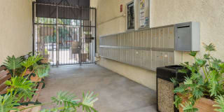 Parthenia Terrace Apartments Gallery 39