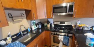 Massive Luxury Apt in Packards Corner Near BU!  Central AC & Heat, XL Rooms! Gallery 9