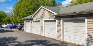 Cameron Court Gallery 41