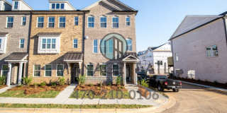 2236 Pale Hawthorn Street Gallery 1