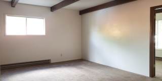 24214t Gallery 11