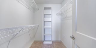 Ryze at Sunfield Gallery 15