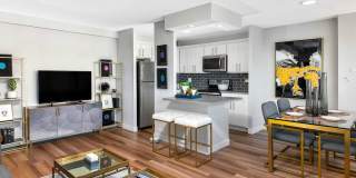 1100 S Michigan Ave Gallery 2